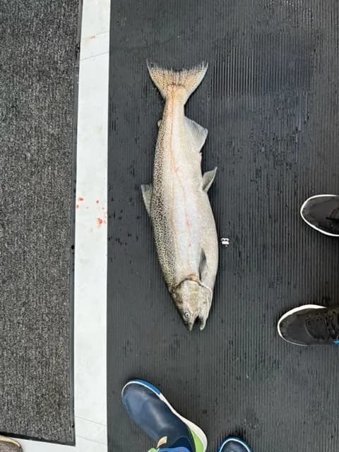 SWA Fishing Derby - 2022: 15/53