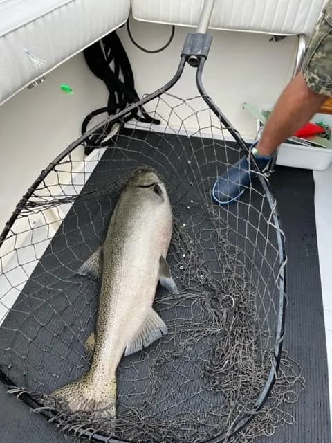 SWA Fishing Derby - 2022: 16/53