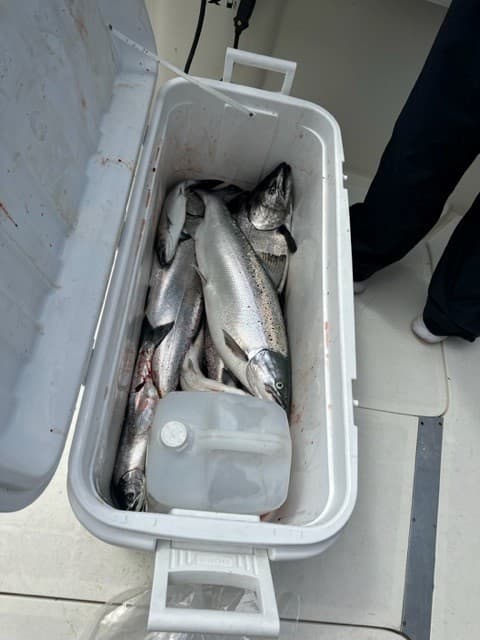 SWA Fishing Derby - 2024: 25/33