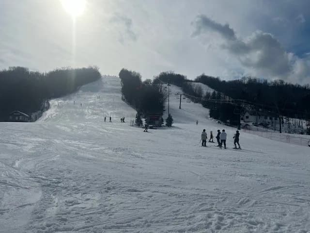 SWA 15th Annual Ski Day - 2024: 2/8